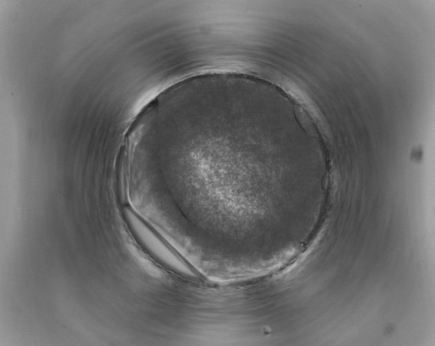 X0000091690842200709061123