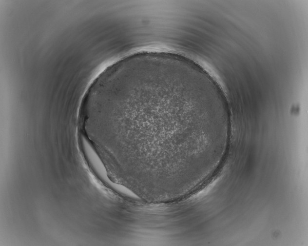 X0000091690845200709061123