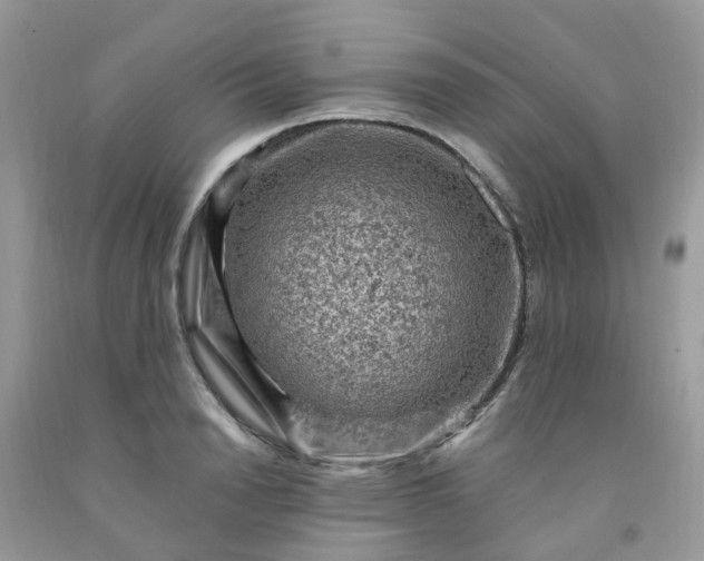 X0000091690846200709061123