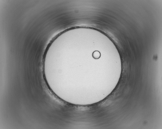 X0000091690848200709061123