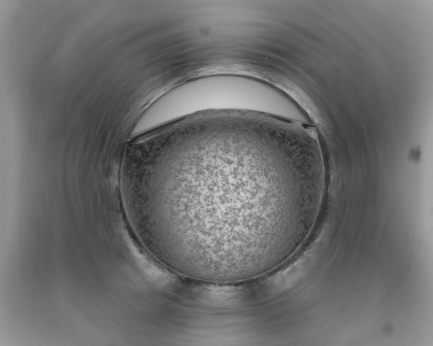 X0000091690849200709061123