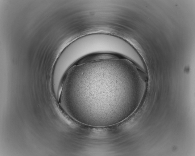 X0000091690850200709061123