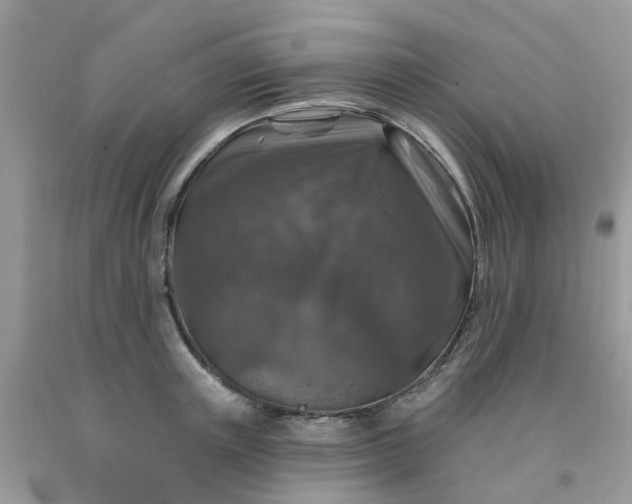 X0000091690851200709061123