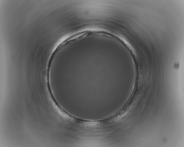 X0000091690853200709061123