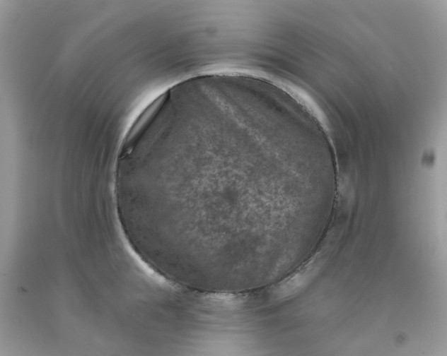 X0000091690855200709061123