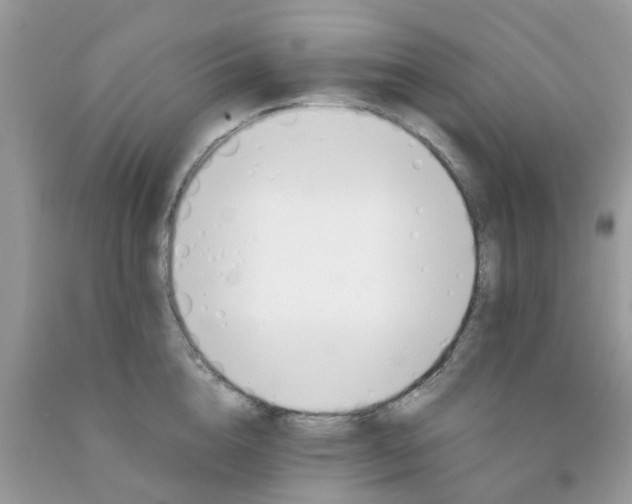 X0000091690856200709061123