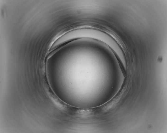 X0000091690858200709061123