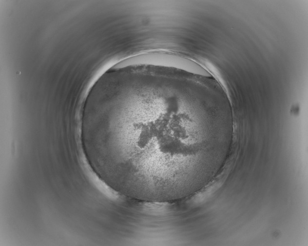 X0000091690859200709061123