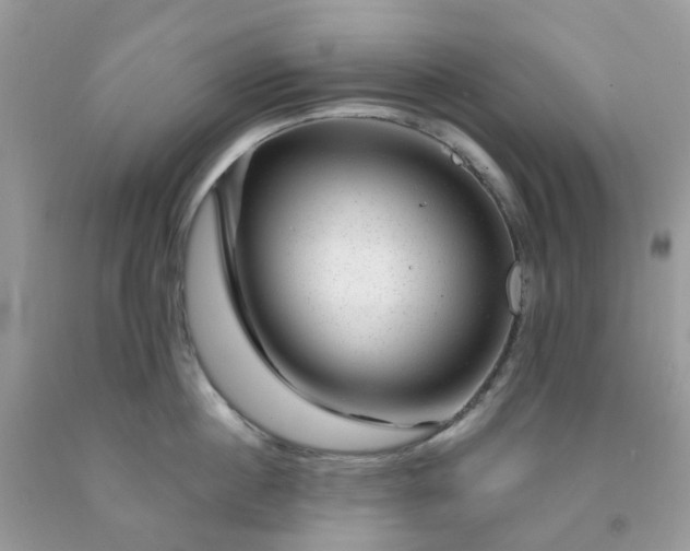 X0000091690860200709061123