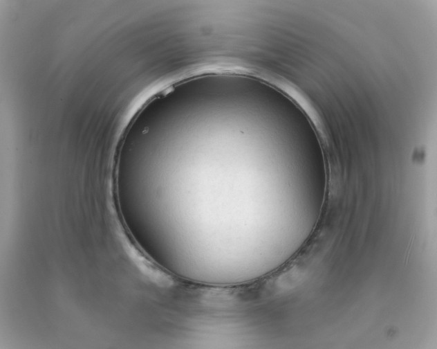 X0000091690861200709061124