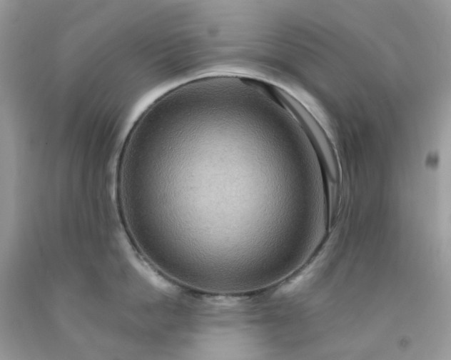 X0000091690862200709061124