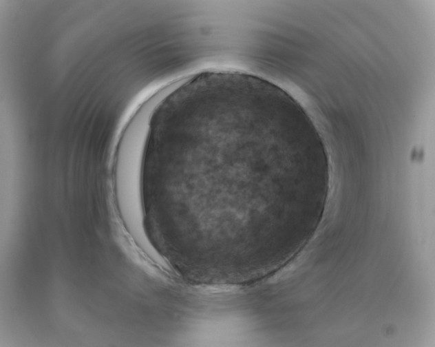 X0000091690864200709061124