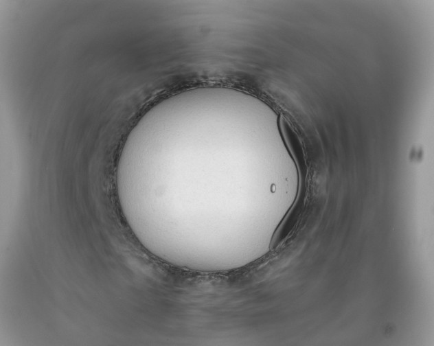 X0000091690865200709061123