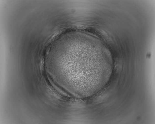 X0000091690866200709061123