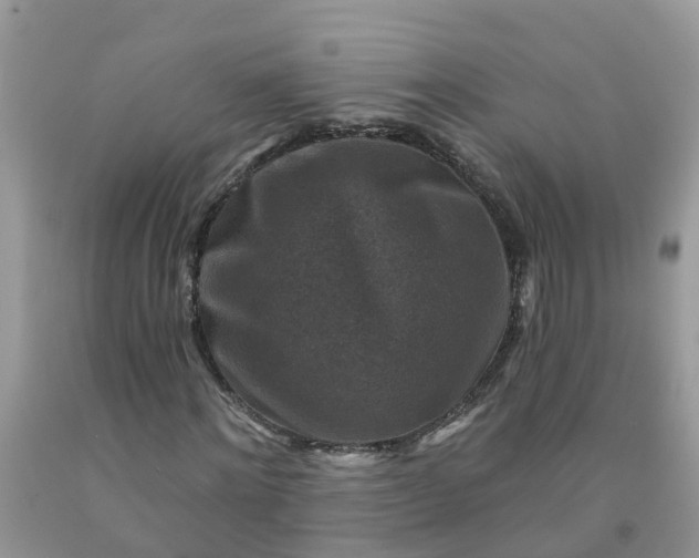 X0000091690868200709061123