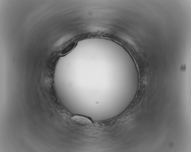 X0000091690869200709061123