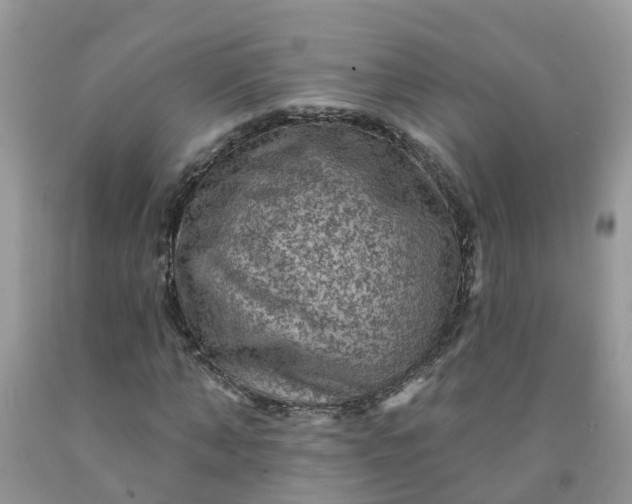 X0000091690870200709061123