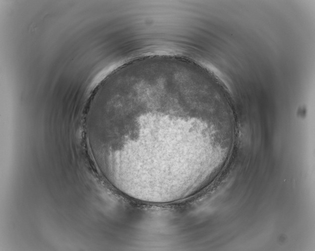 X0000091690874200709061123