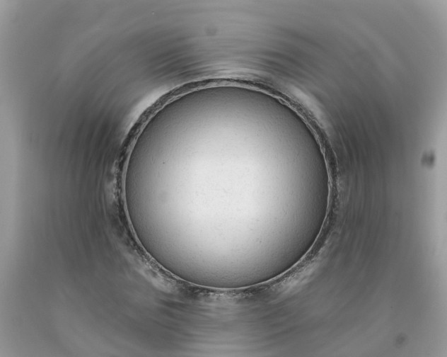 X0000091690875200709061123