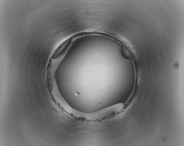 X0000091690876200709061123