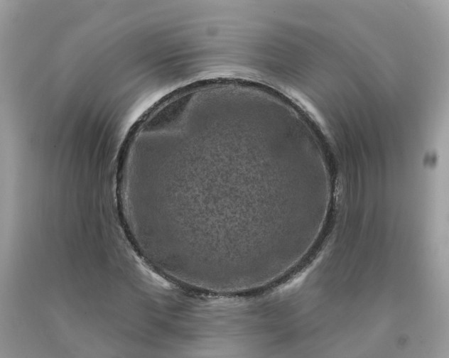 X0000091690877200709061123