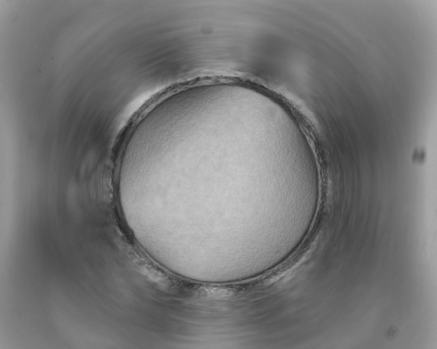 X0000091690878200709061123