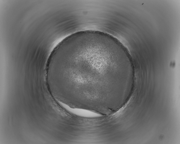 X0000091690879200709061123