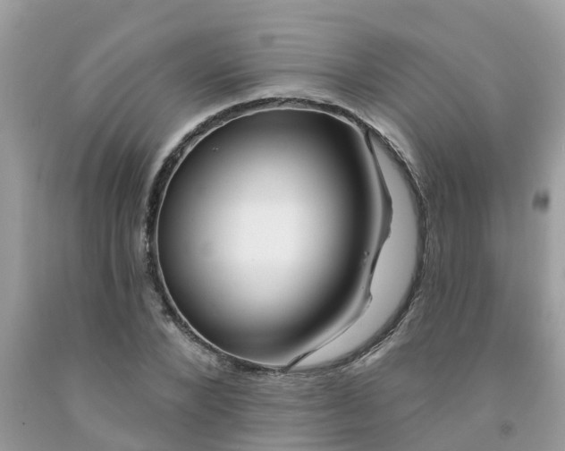 X0000091690880200709061123