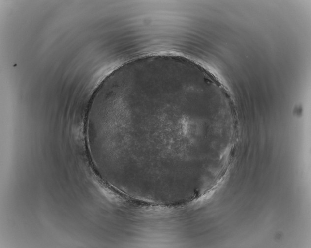 X0000091690881200709061123