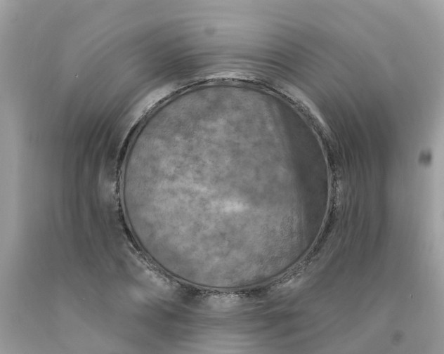 X0000091690882200709061123