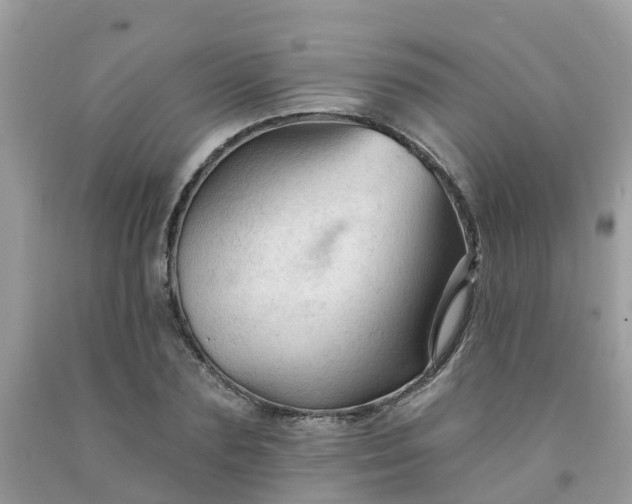 X0000091690883200709061123