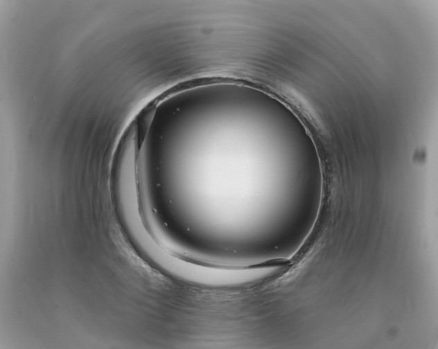 X0000091690884200709061123