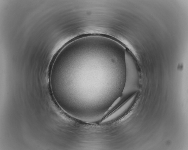 X0000091690885200709061123