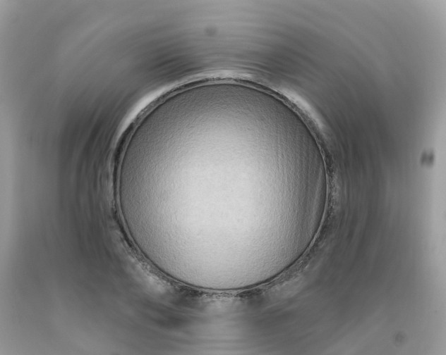 X0000091690886200709061123