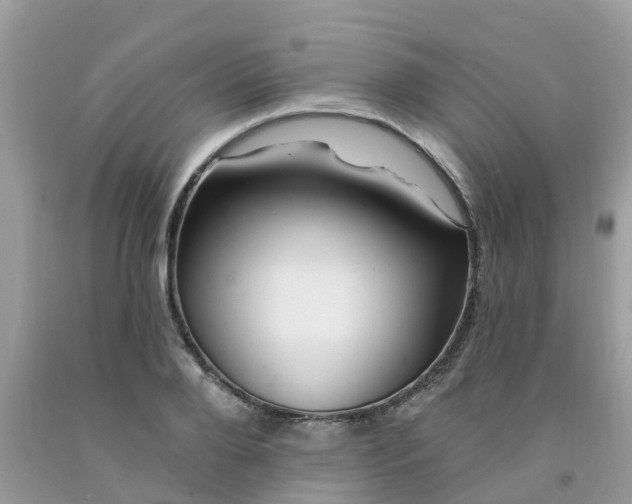 X0000091690888200709061122