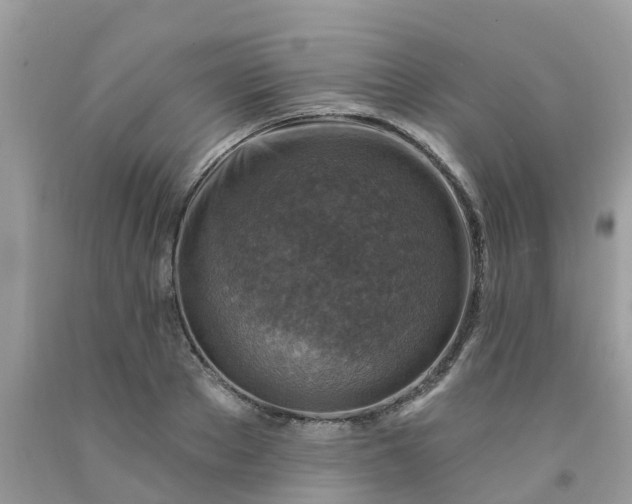 X0000091690889200709061122