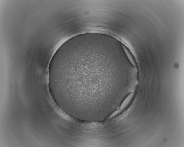 X0000091690891200709061122