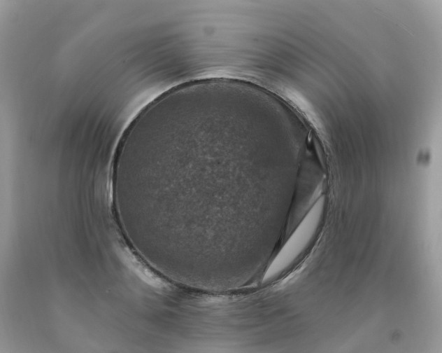 X0000091690892200709061122