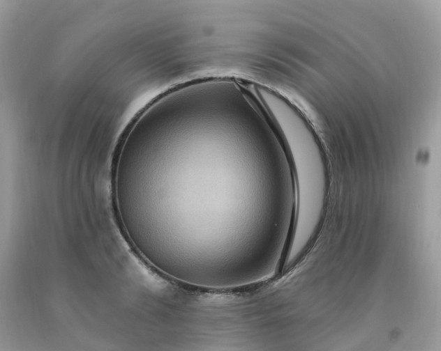 X0000091690894200709061122