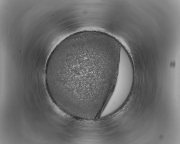 X0000091690895200709061122