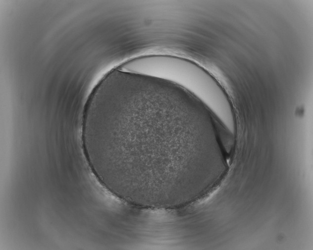 X0000091690896200709061122