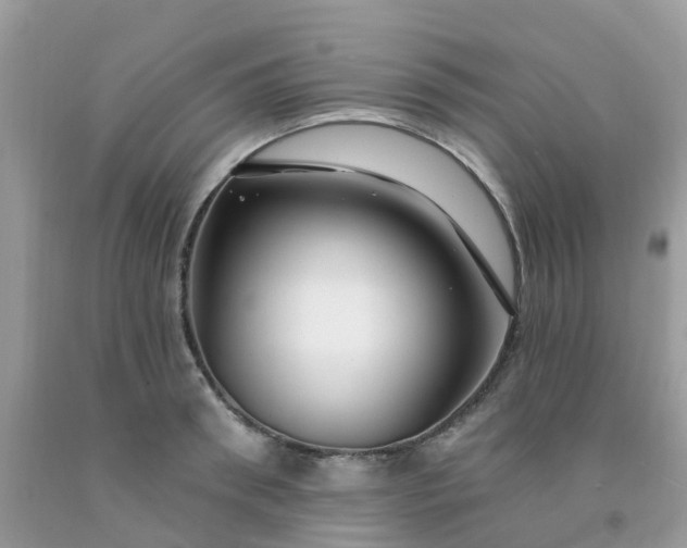 X0000091690898200709061122