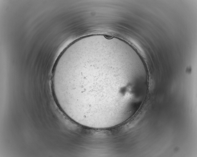 X0000091690899200709061122