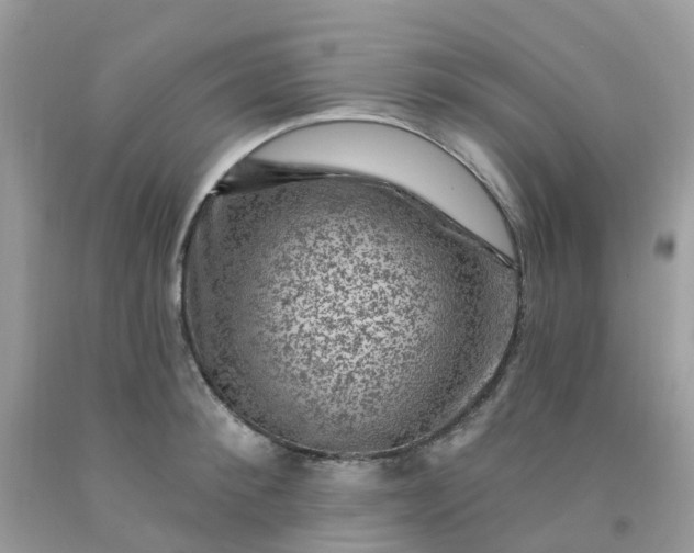 X0000091690900200709061122