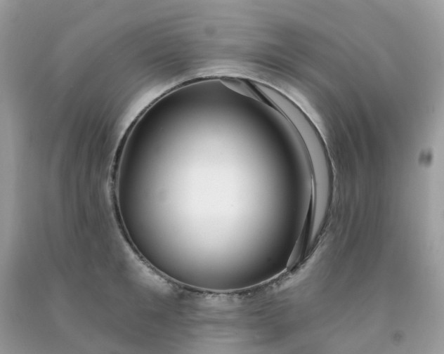 X0000091690901200709061122