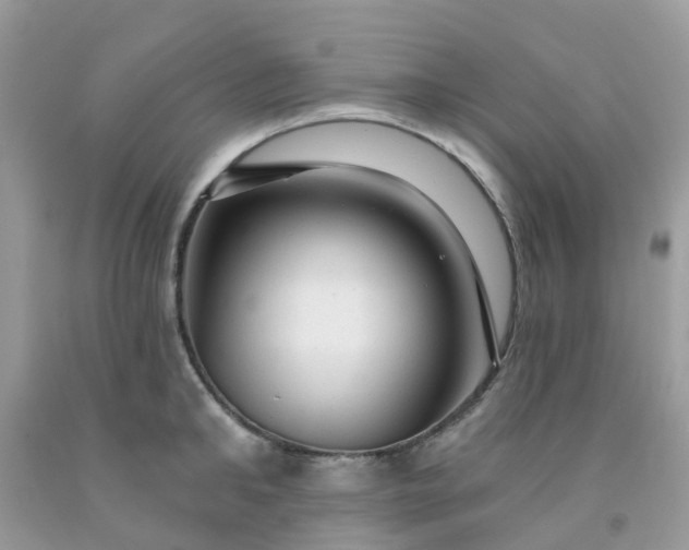 X0000091690902200709061122