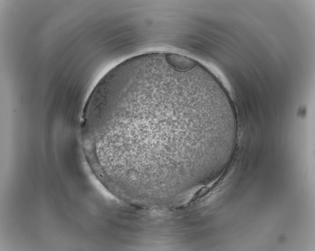 X0000091690903200709061122