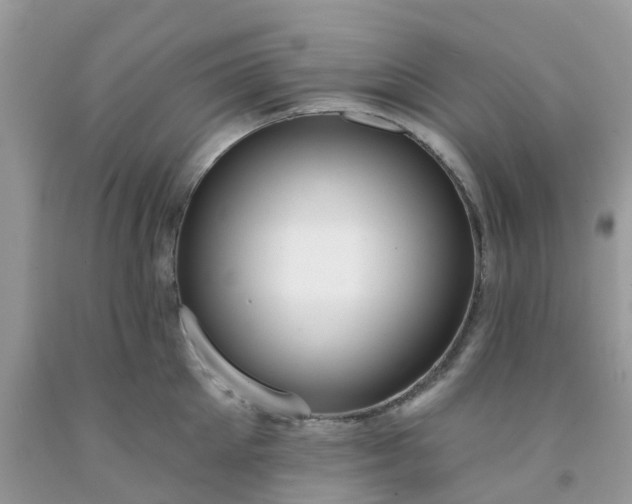 X0000091690905200709061122