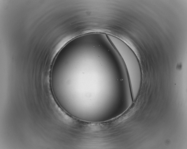 X0000091690906200709061122