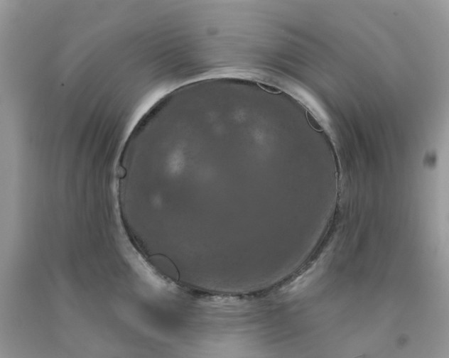 X0000091690907200709061122